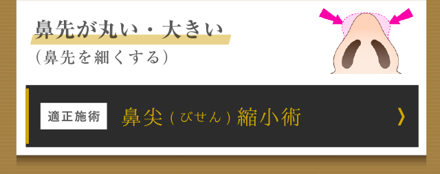 鼻尖縮小術