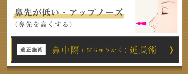 鼻中隔延長術
