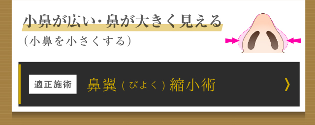 鼻翼縮小術