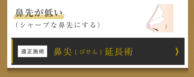 鼻尖延長術