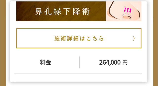 鼻孔縁下降術