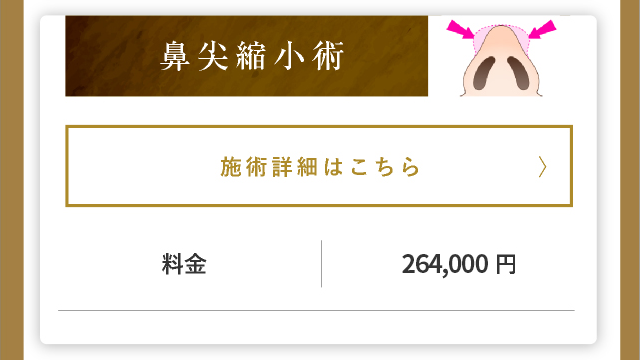 鼻尖縮小術