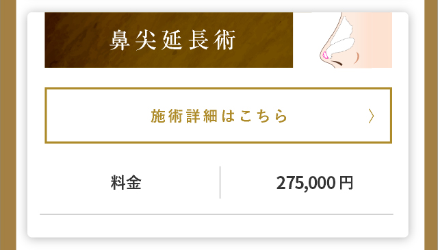 鼻尖延長術